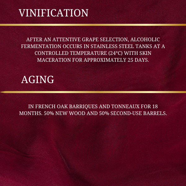 3 Bottle of Coldipietrerosse DOCG 2015