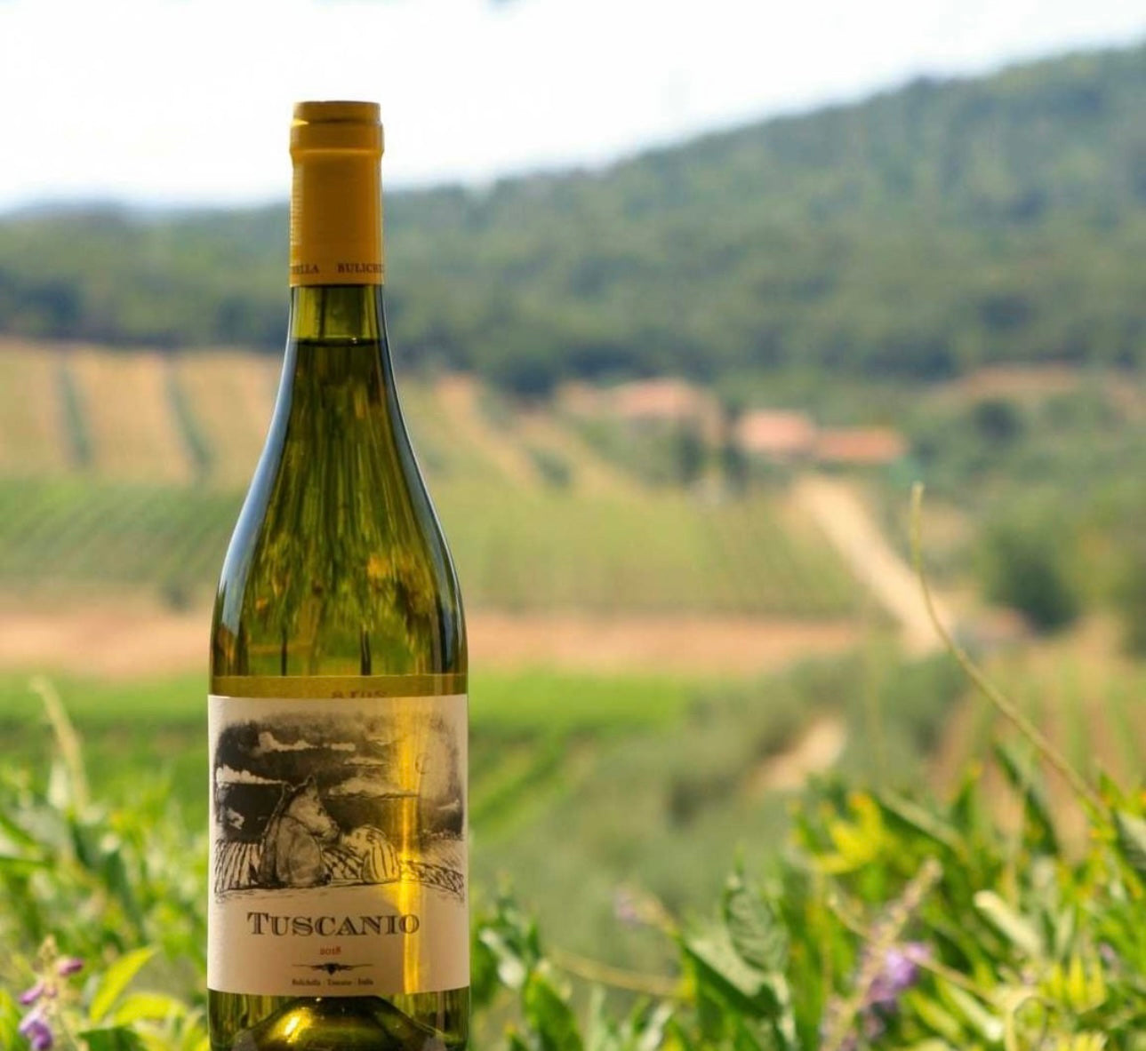 3 Bottle of Tuscanio 900 IGT Costa Toscana Vermentino • 2022